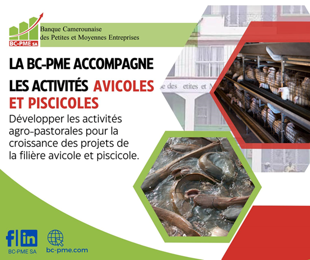 LA BC-PME  ACCOMPAGNE LES ACTIVITÉS AGRICOLES & PISCICOLES