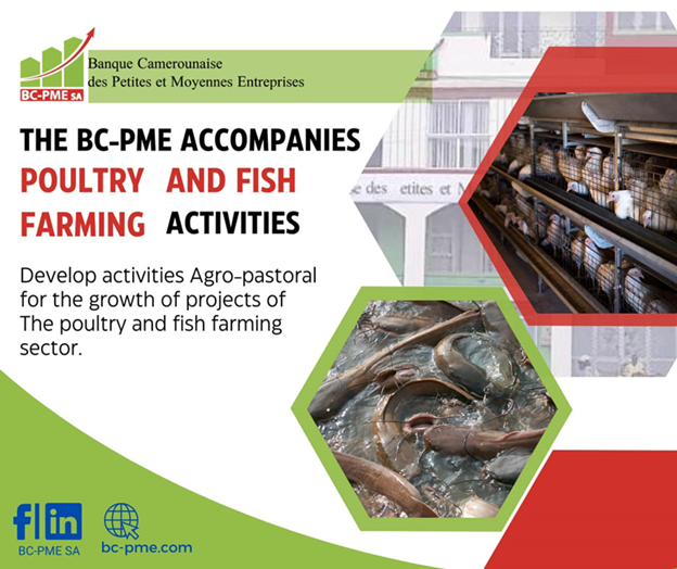 BC-PME SUPPORTS AGRICULTURAL and FISH ACTIVITIES