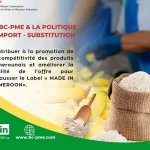 LA BC-PME & LA POLITIQUE D’IMPORT SUBSTITUTION