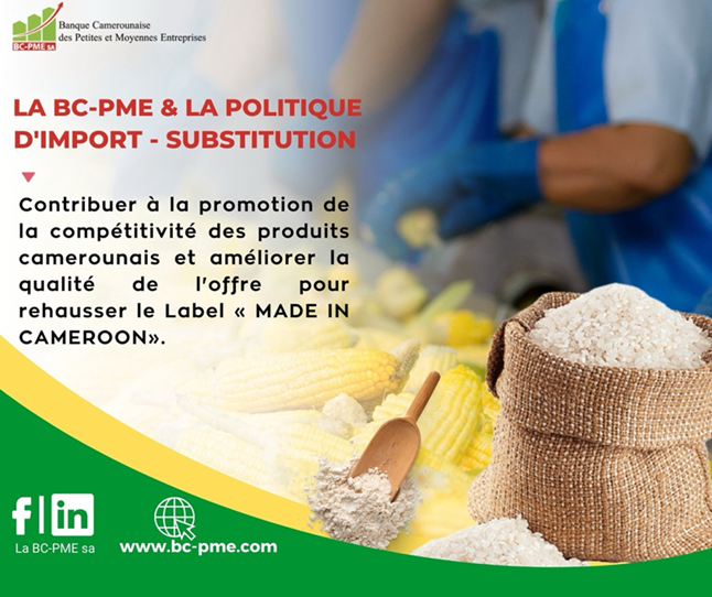 LA BC-PME & LA POLITIQUE D’IMPORT SUBSTITUTION